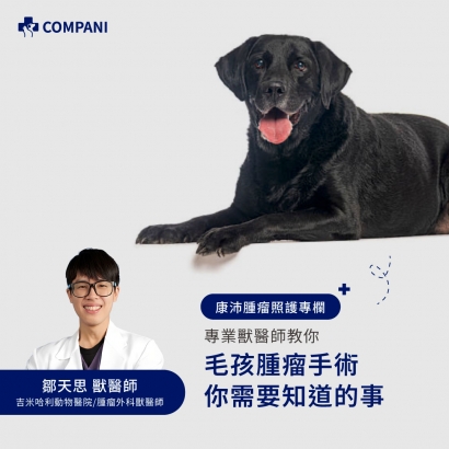 康沛_腫瘤三部曲FB貼文醫師說系列04_0409_2-05.jpg
