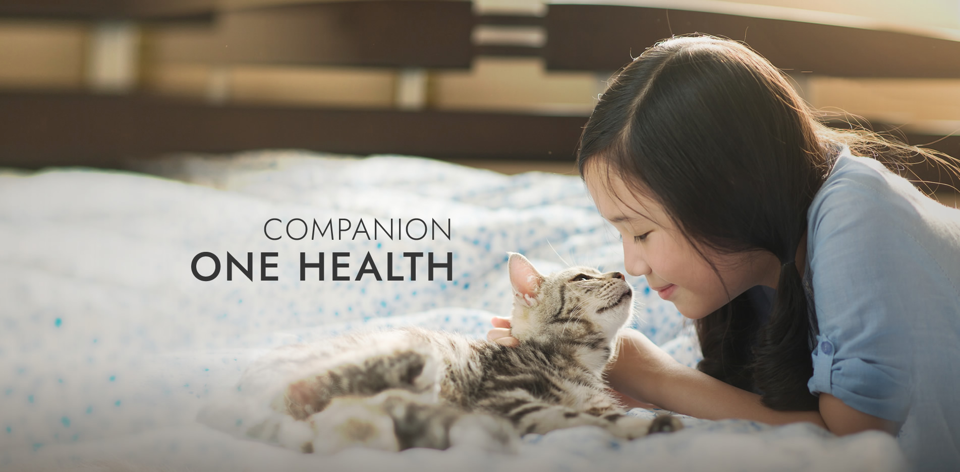 banner_s.jpg banner_s.jpg