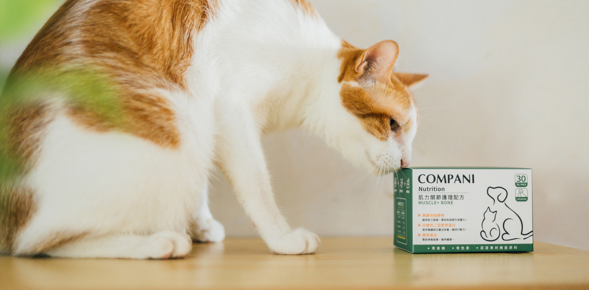 banner_2.jpg banner_2.jpg